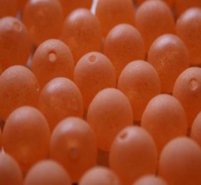 007_unfair_egg-vantage