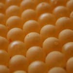 Cheeze Doodle