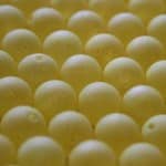 Honey Mustard