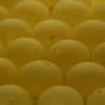 Sunny Side Up