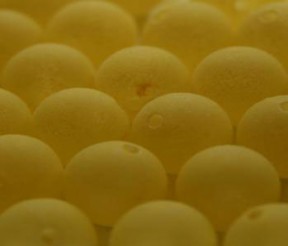 205_sunny_side_up