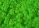 Green Machine