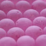 Raspberry