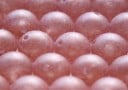 Copper Sheen