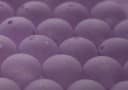Grape Jammin'