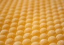 Scrambled Ontari-Roe